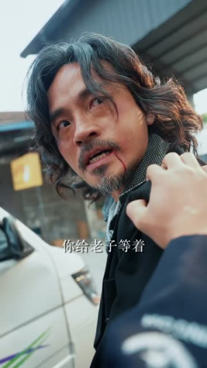 老兵归来之当打之年（71集）在线看到大结局