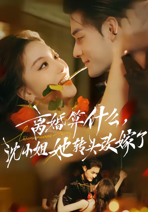 离婚算什么，沈小姐她转头改嫁了（81集）火爆短剧来袭