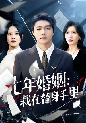 七年婚姻：栽在替身手里（80集）短剧精彩绝伦