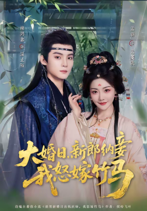 大婚日，新郎纳妾我怒嫁竹马（80集）短剧精彩不断