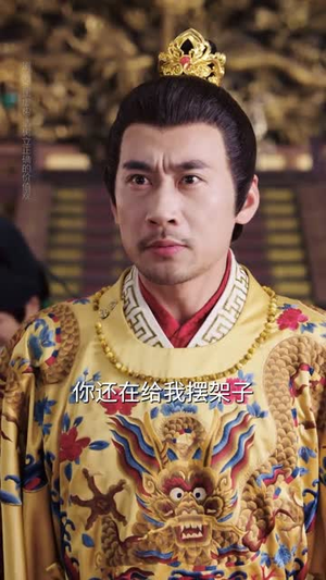 长平如歌（64集）大结局