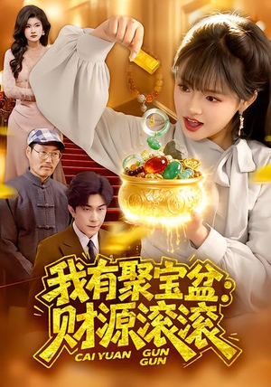 我有聚宝盆：财源滚滚（101集）免费短剧全集看