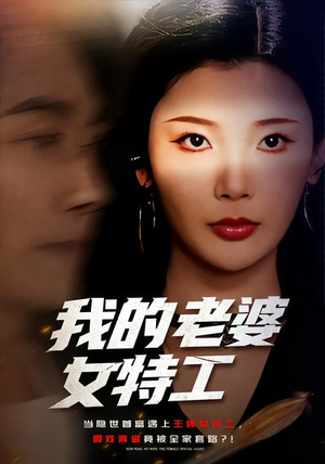 我的老婆女特工（62集）短剧免费观看