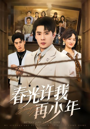 春光许我再少年（79集）全集