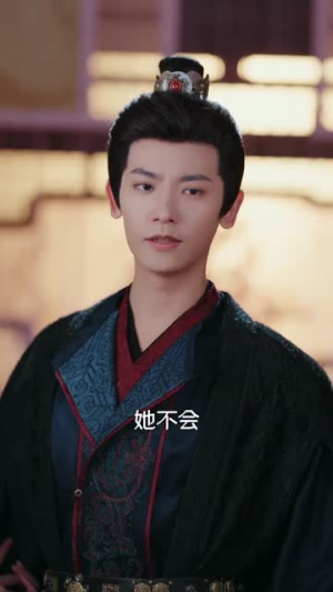 冷院医妃涅槃归来（71集）在线看