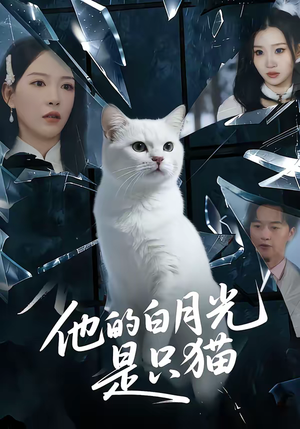 他的白月光是只猫（69集）看到大结局