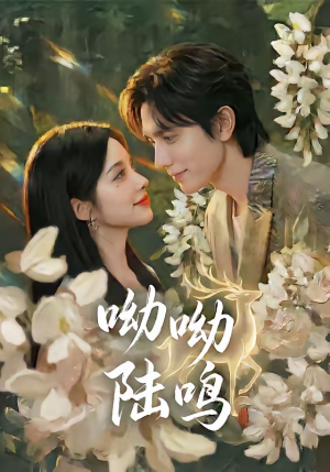 呦呦陆鸣（67集）小短剧抢先看