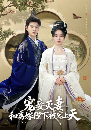 宠妾灭妻，和离嫁陛下被宠上天（88集）精彩的网络短剧