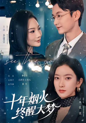 十年烟火，终醒大梦（60集）第二季