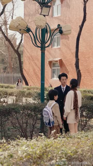 十年烟火，终醒大梦（60集）哪个短剧网能看