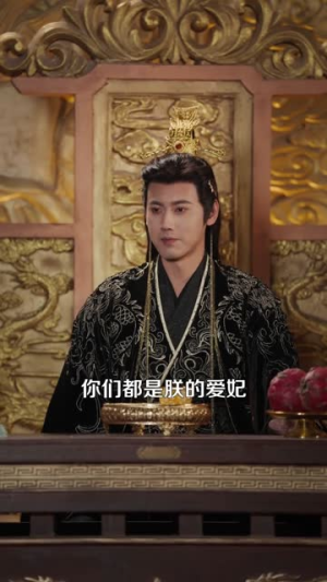 美人面(94集) 美人面(94集)在线观看完整版