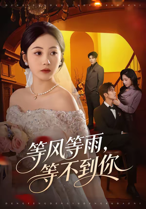 等风等雨，等不到你（65集）哪个短剧网能看