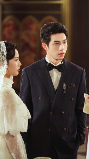 花落时节又逢君（61集）热门短剧大全