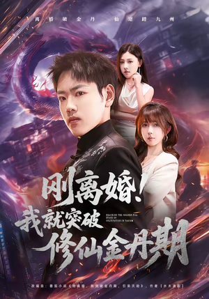刚离婚！我就突破修仙金丹期（82集）夸克在线观看