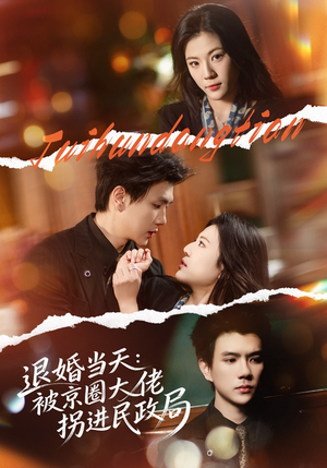 退婚当天：被京圈大佬拐进民政局（80集）好看又上头短剧