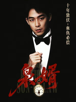 枭婿（62集）红果短剧看全集