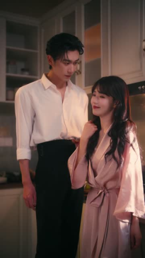 关于黎秘书的一切（60集）精彩短剧热播