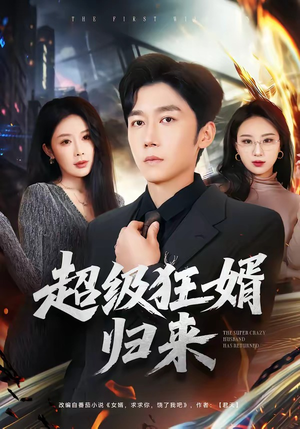 超级狂婿归来（81集）看到大结局