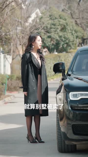 云泥已殊途（72集）独家资源免费看