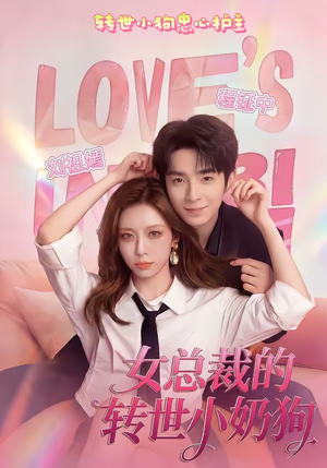 女总裁的转世小奶狗（30集）火爆短剧来袭