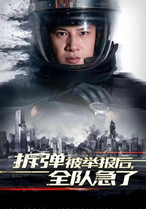 拆弹被举报后，全队急了（50集）追短剧太上头了