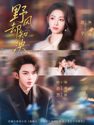 野风却知泱（80集）爆款热门短剧