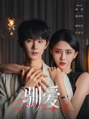 驯爱（80集）在哪里可以看