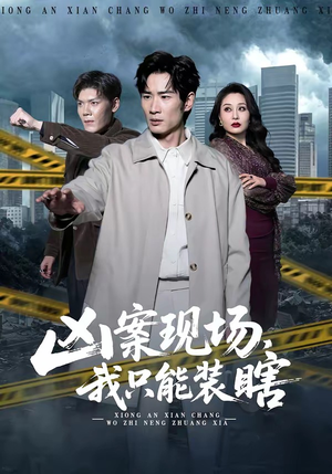 凶案现场，我只能装瞎（72集）第二季