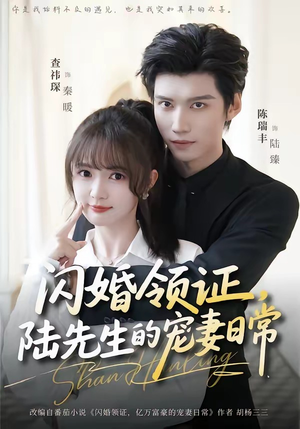 闪婚领证，陆先生的宠妻日常（86集）最新短剧抢先看