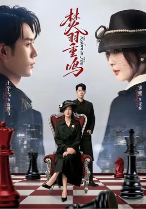 焚羽重鸣（60集）免费短剧推荐