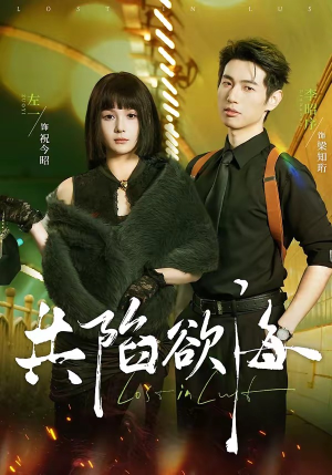 共陷欲海（66集）热播古装短剧