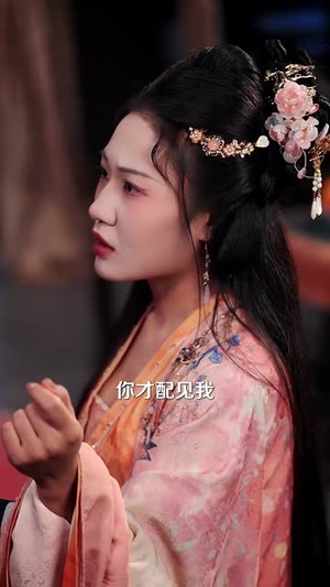 主母风华（60集）看到了大结局