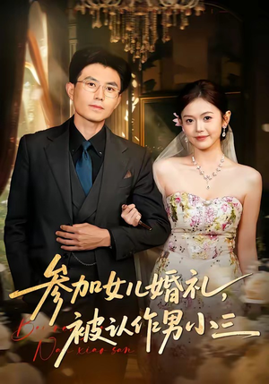 参加女儿婚礼，被认作男小三（36集）真的好看吗