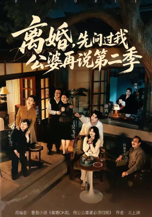 离婚，先问过我公婆再说第二季（90集）抢先看新短剧