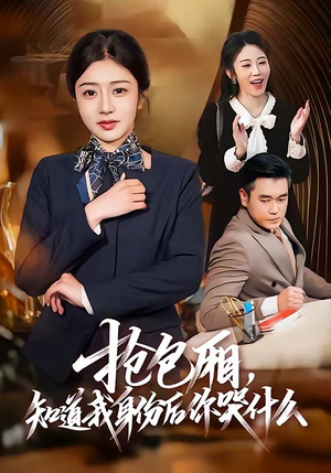 抢包厢，知道我身份后你哭什么（70集）免费观看全集