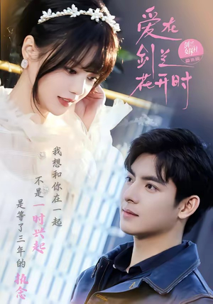 爱在剑兰花开时（56集）精彩短剧下载