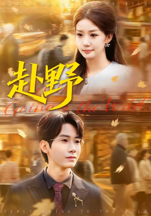 赴野（40集）短剧推荐上热门