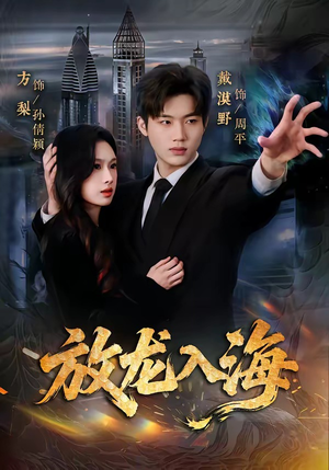 放龙入海（62集）热门爆款短剧