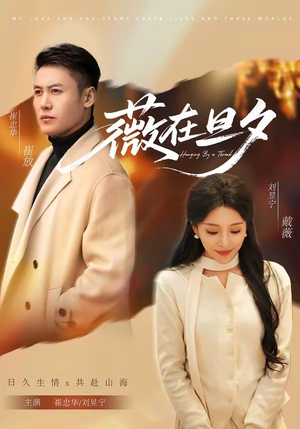 薇在旦夕（80集）解说文案