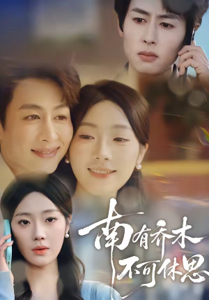 南有乔木，不可休思（68集）精彩短剧片段