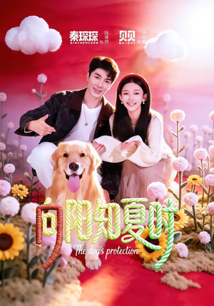 向阳知夏时（80集）全集免费看短剧