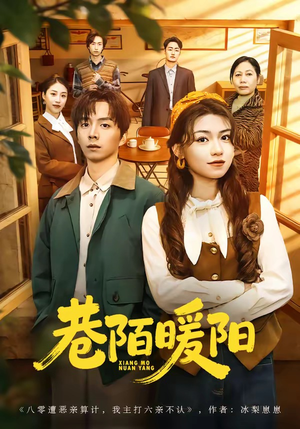 巷陌暖阳（80集）海量资源免费看