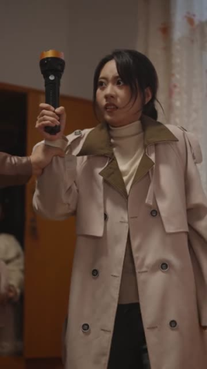 悬案：钱质（60集）好短剧分享