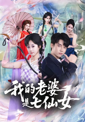 我的老婆是七仙女（57集）在线观看全集