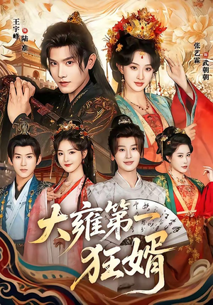 大雍第一狂婿（90集）短剧视频分享