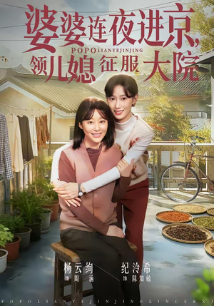 婆婆连夜进京，领儿媳征服大院（78集）口碑之选免费看