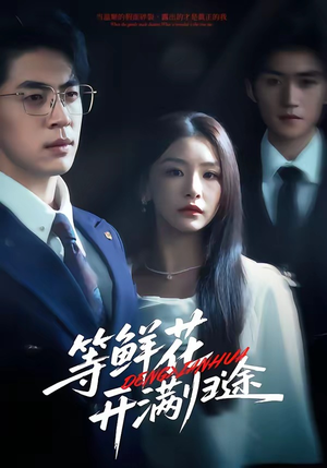 等鲜花开满归途（61集）让你一口气看完