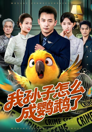 我孙子怎么成鹦鹉了（71集）百度网盘资源