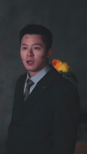 我孙子怎么成鹦鹉了（71集）免费在线看全集