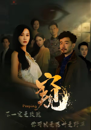 窥＆窥伺（37集）夸克网盘观看